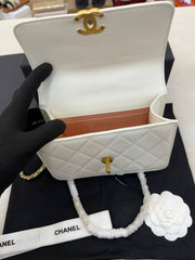 Chanel Perfect Fit Mini Flap Bag