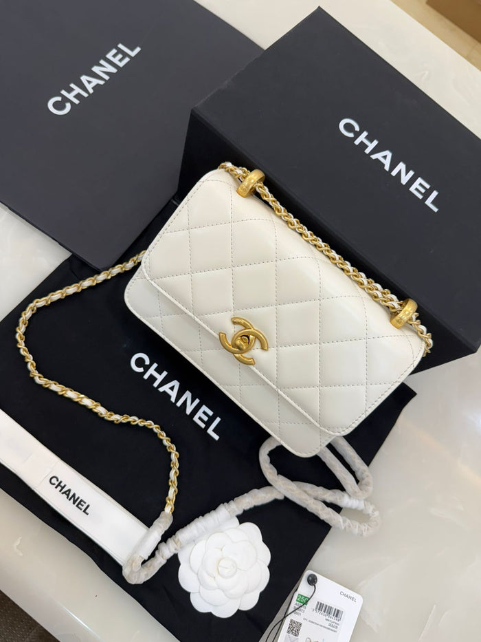 Chanel Perfect Fit Mini Flap Bag