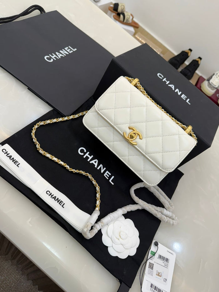 Chanel Perfect Fit Mini Flap Bag