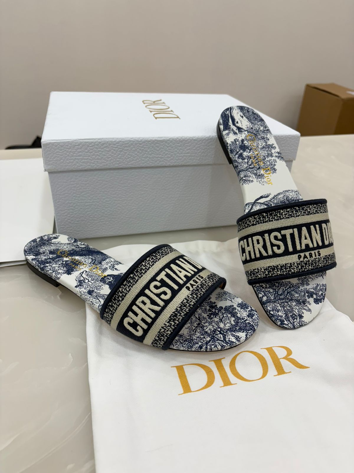 Christian Dior Dway Slides