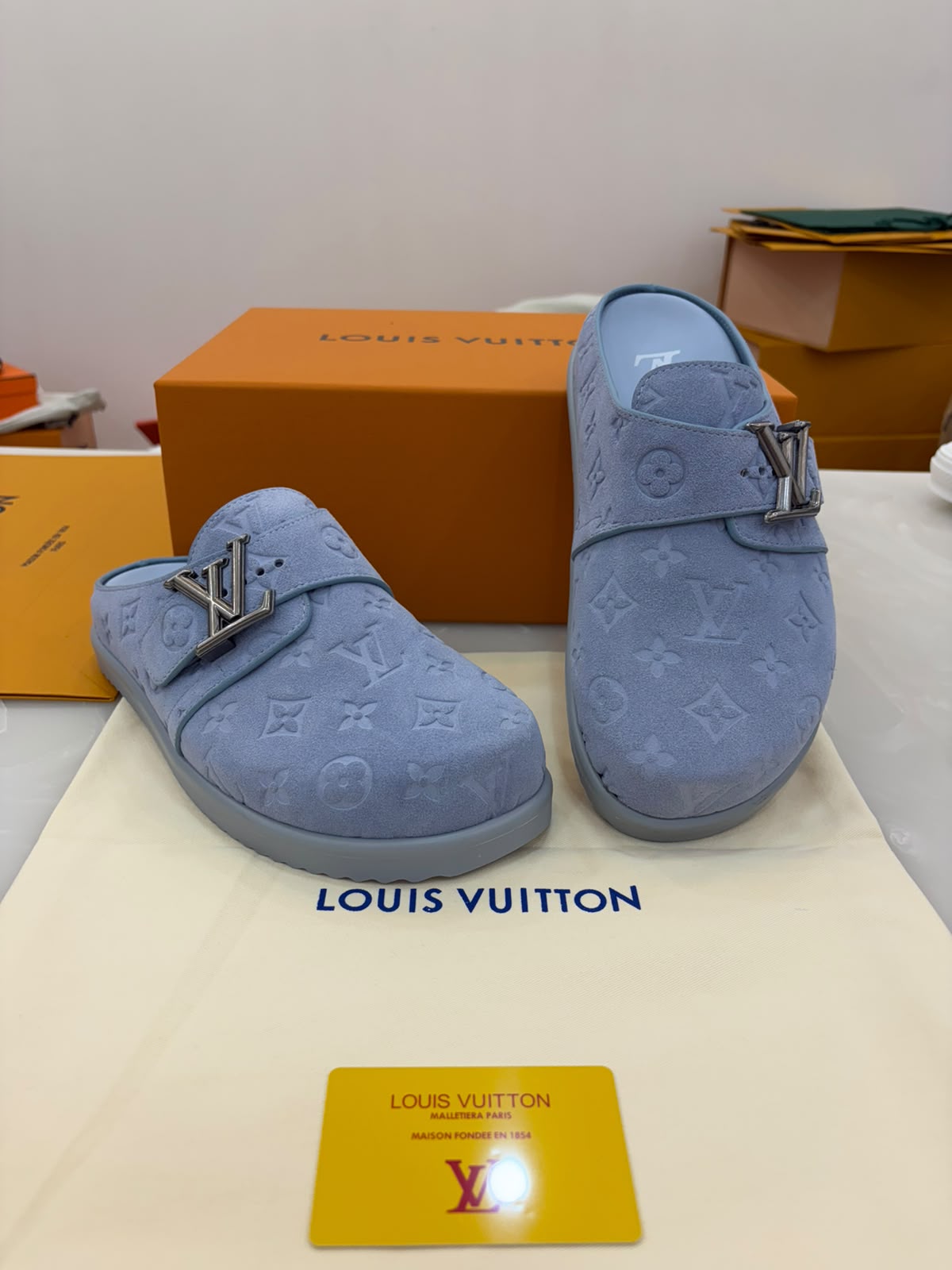 Louis Vuitton Easy Mules in blue