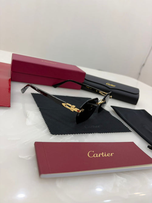 Cartier sunglasses